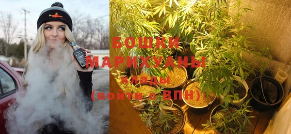 PSILOCYBIN Магас