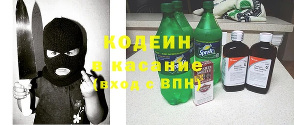 гашик Алексеевка