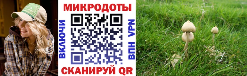 Псилоцибиновые грибы MAGIC MUSHROOMS  где можно купить   Александровск 